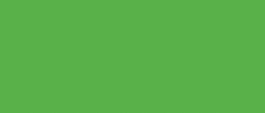 Tsukineko • radiant neon stempelkussen electric green