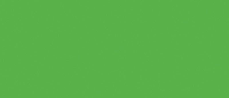 Afbeelding laden in galerijviewer, Tsukineko • radiant neon stempelkussen electric green
