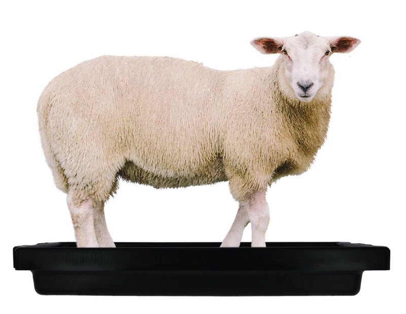 Afbeelding laden in galerijviewer, Imp producten klauwbad supercombi mini 120x40x18cm 50l schaap
