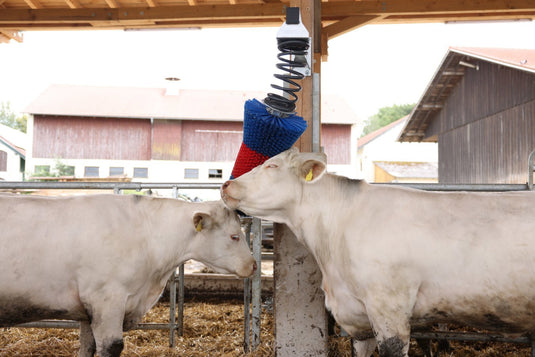 Producten happycow veeborstel flexiswing