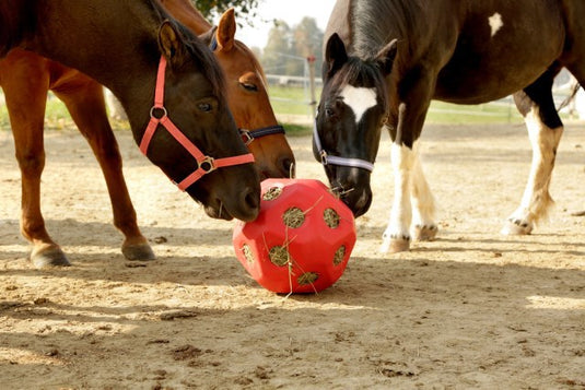 Producten voeder speel bal rood