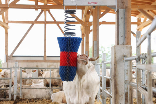 Producten happycow veeborstel flexiswing