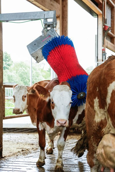 Producten happycow koeborstel maxiswing