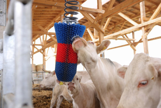 Producten happycow veeborstel flexiswing
