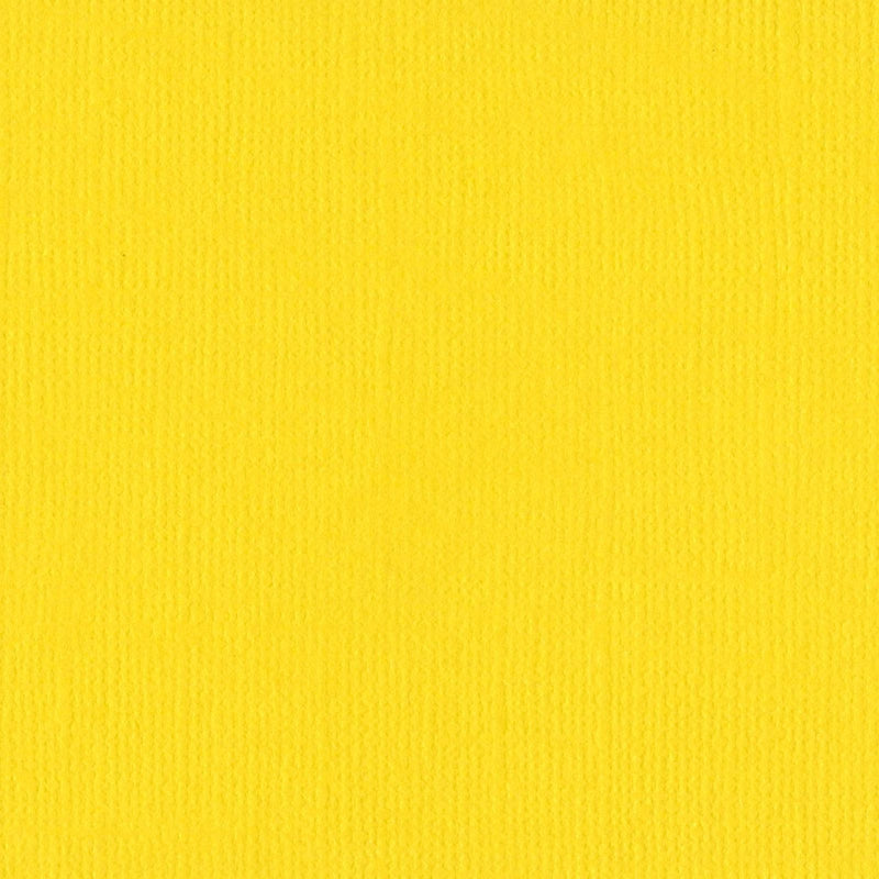Afbeelding laden in galerijviewer, Bazzill • mono canvas 30,5x30,5cm yellow
