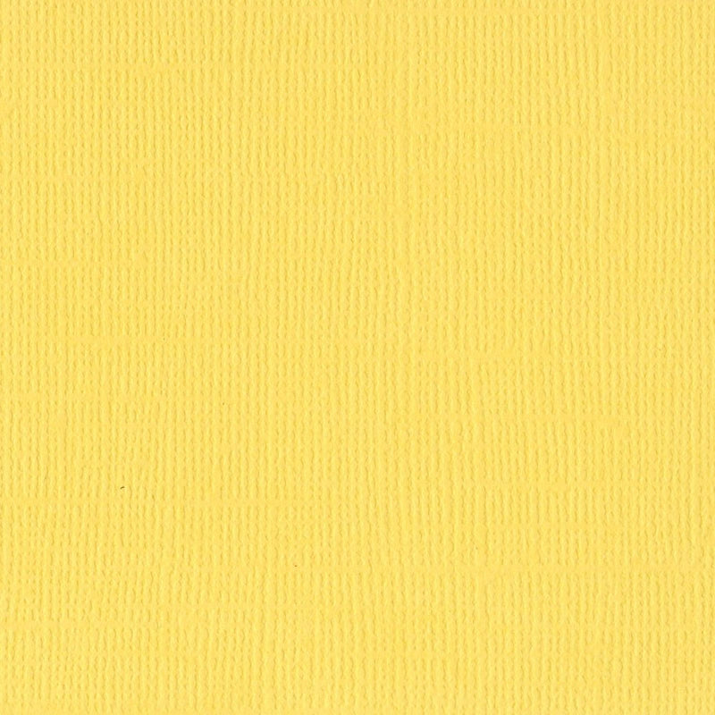 Afbeelding laden in galerijviewer, Bazzill • mono canvas 30,5x30,5cm sunbeam
