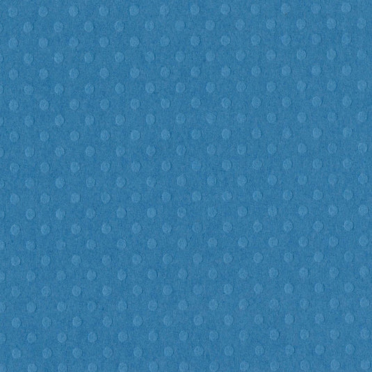 Bazzill • dot swiss 30,5x30,5cm surfs up