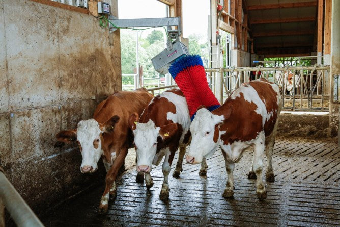 Afbeelding laden in galerijviewer, Producten happycow koeborstel maxiswing
