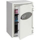 Datakluis phoenix data combi ds2502k wit