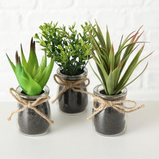 Boltze home sukkulente in pot ø10x17cm kunstplant in glazen potje