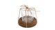 Theelichth maro helder naturel glas hout 7,5x7,5x7cm