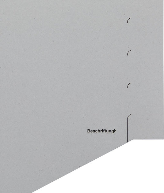 Leitz scheidingstabblad karton 100 stuks a4 11-rings grijs