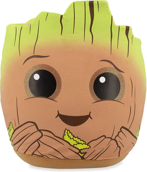Ty groot squish a boo 20 cm