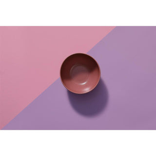 Afbeelding laden in galerijviewer, Schaal 15 cm red spirit | 6 stuks
