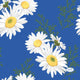 Duni servetten daisy blue 24x24 cm | 12 stuks