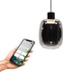 Eglo connect.z molochio-z smart hanglamp - led - ø 12,5 cm - zwart smoke rookglas - instelbaar rgb wit licht - dimbaar - zigbee