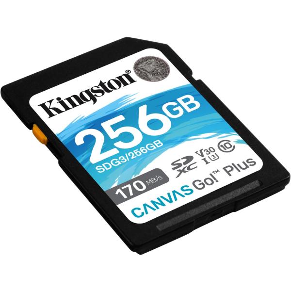 Afbeelding laden in galerijviewer, Kingston Canvas Go! Plus SDXC 256 GB
