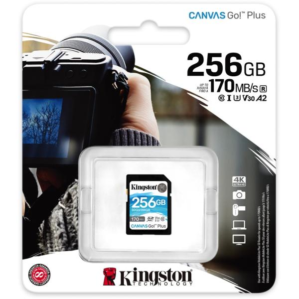 Afbeelding laden in galerijviewer, Kingston Canvas Go! Plus SDXC 256 GB
