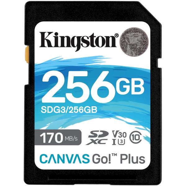 Afbeelding laden in galerijviewer, Kingston Canvas Go! Plus SDXC 256 GB
