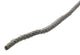 Mack 1014955 - voegtouw katoen 4mm-20m | 5 stuks