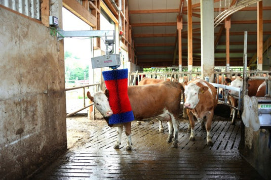 Producten happycow koeborstel maxiswing