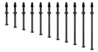 Quarq tyrewiz 2.0 tyre pressure valves 2 pieces | length g