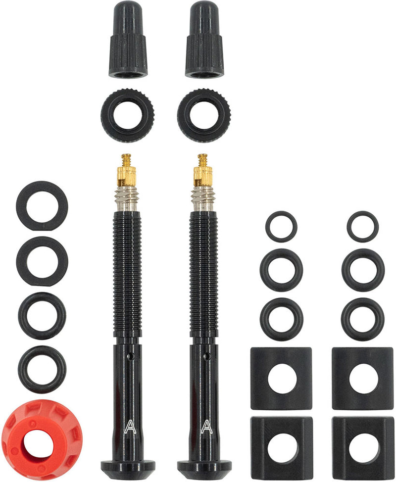 Afbeelding laden in galerijviewer, Quarq tyrewiz 2.0 tyre pressure valves 2 pieces | length a
