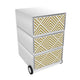 Paperflow easybox mobiele ladenblok met 3 lades 642x390x436mm art deco - rising