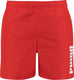 Puma swim men mid shorts mannen 1p - maat m