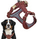 5903771727174