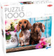 Tactic dashing dachshunds – puzzel – 1000 stukjes – schattige teckels – kleurrijke dierenfotografie – hoogwaardige scandinavische kwaliteit