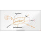 Imp whiteboard nobo ression pro 1915405