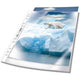 Durable showtassen 268219 transparant