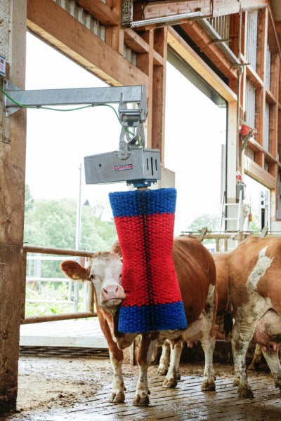 Producten happycow koeborstel maxiswing