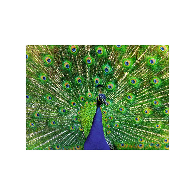 Afbeelding laden in galerijviewer, Ravensburger puzzel peacock 500 stukjes
