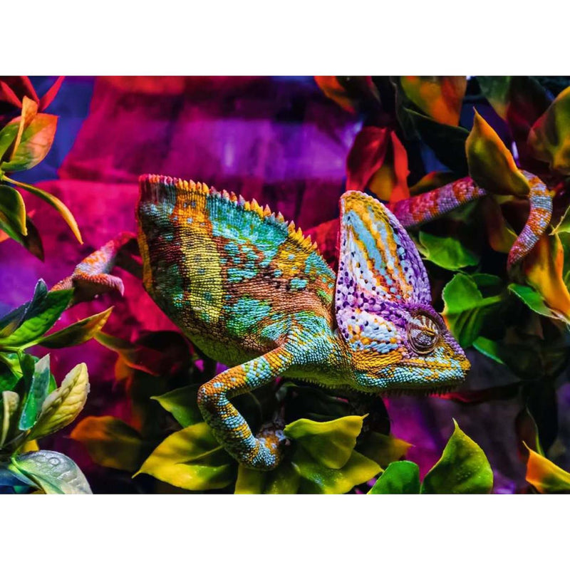 Afbeelding laden in galerijviewer, Ravensburger puzzel chameleon 500 stukjes
