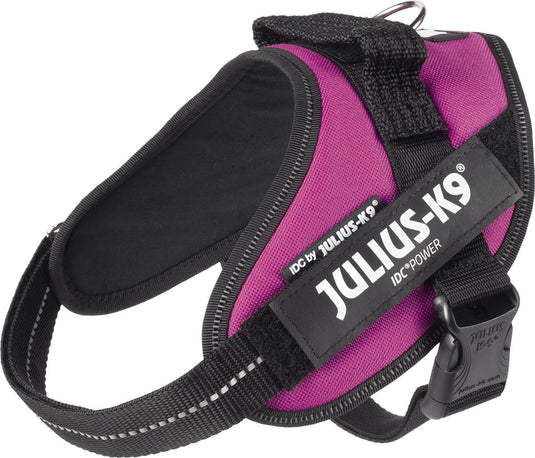 Julius k9 julius-k9 idc®powertuig, s - mini, donkerroze