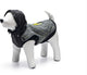 Beeztees safety gear allia – hondenjas – reflecterend – grijs – 62 cm - met capuchon 2 in 1 jas