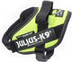 Julius k9 julius-k9 idc powertuig - hondentuig - xs - mini-mini - neon xs