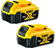 Dewalt dcb184p2 2x accu 5.0ah 18v xr