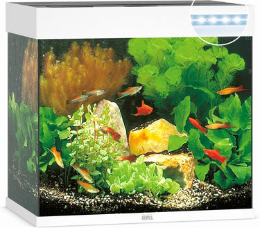 Juwel lido 120 led aquarium - wit - 120l - 61 x 41 x 58 cm