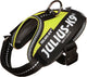 Julius k9 julius-k9 idc®powair-tuig, 3xs - baby1, neon