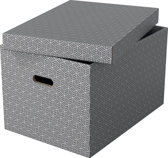 Esselte opbergdoos 628287 large 55 l grijs