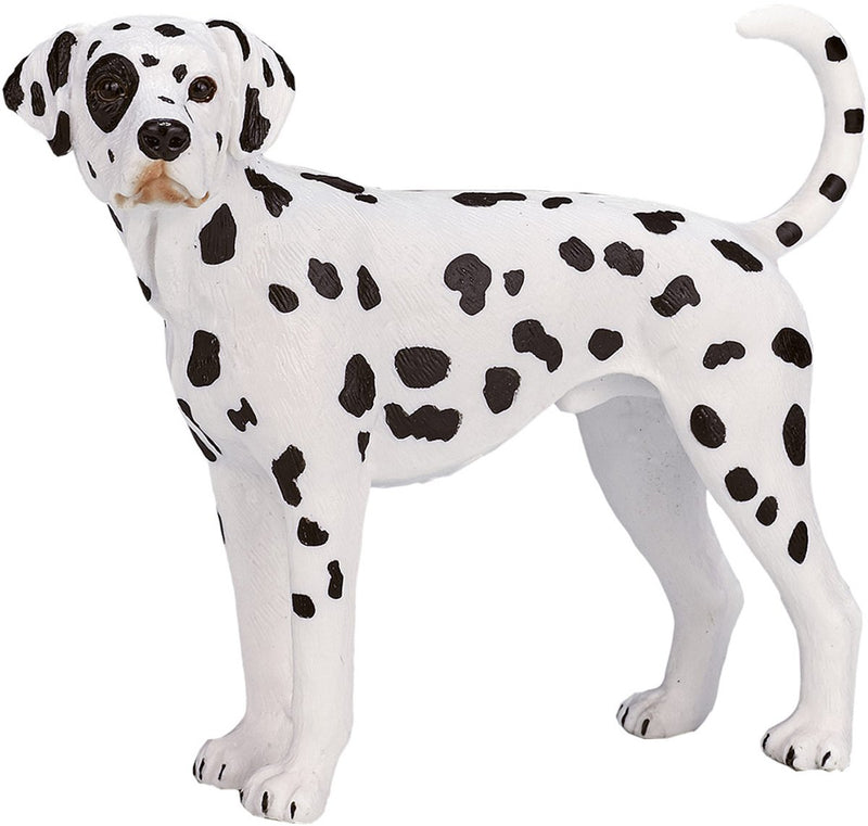Afbeelding laden in galerijviewer, Mojo farmland dalmatiër - 387248
