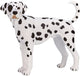 Mojo farmland dalmatiër - 387248