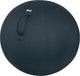 Leitz zitbal ergo cosy 5279