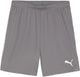 Puma teamgoal shorts heren sportbroek - cast iron- white xl