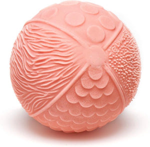 Lanco toys lanco sensory speelbal donker roze – 100% natuurlijk rubber bijtspeeltje – 0+ maanden – vrij van bpa pvc – beige geschenkdoosje