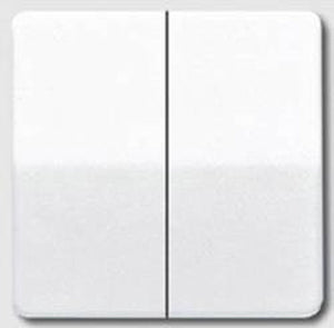 Jung cd500 schakelelement centrale plaat - cd595ww - e2v36