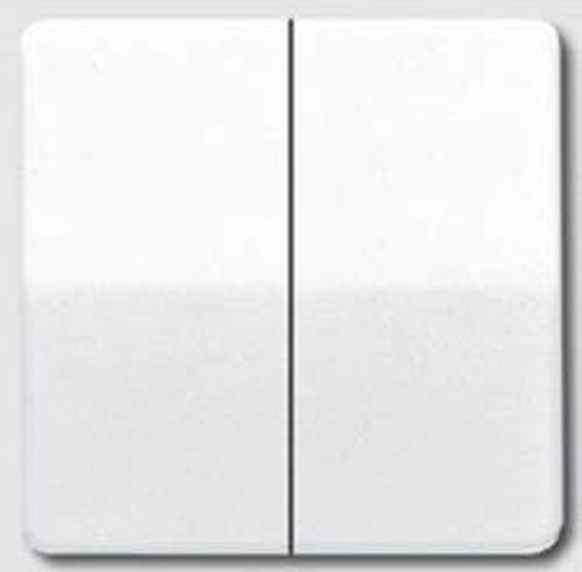 Jung cd500 schakelelement centrale plaat - cd595ww - e2v36